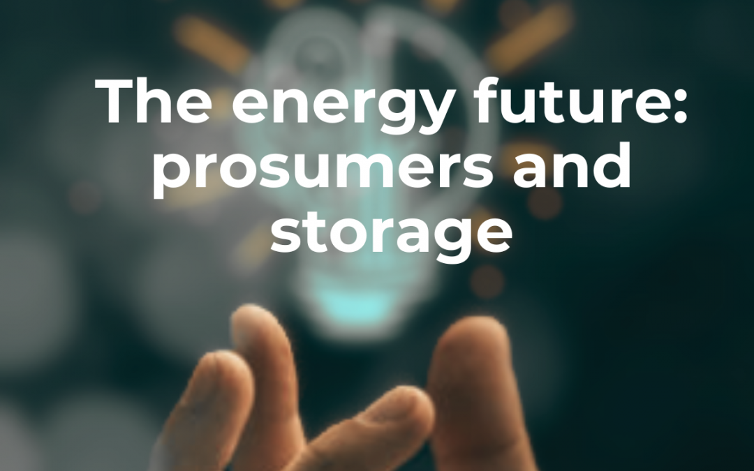 The energy future: prosumers and storage